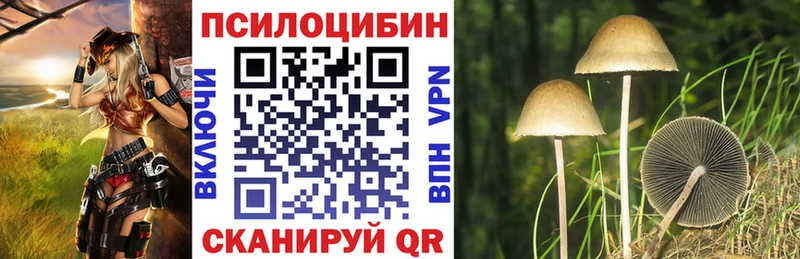 закладки  Воронеж  Галлюциногенные грибы мицелий 